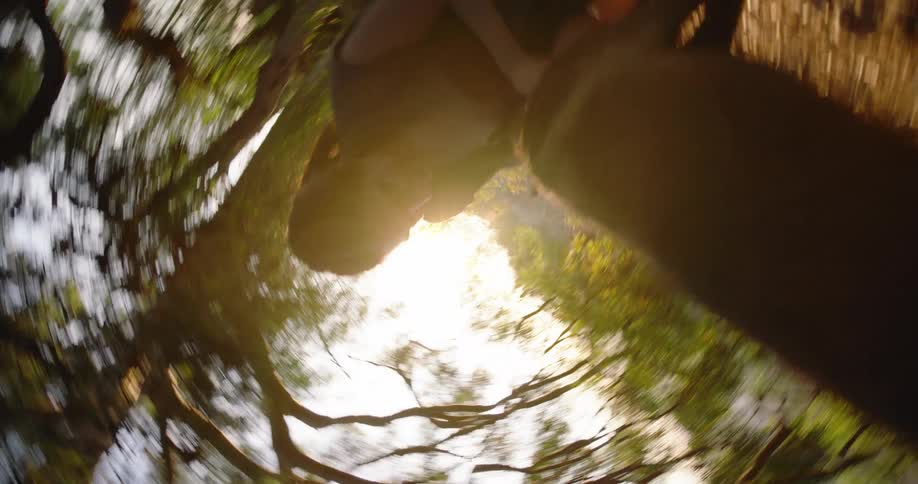 Woman crouching with her dog on a trail beneath a tree