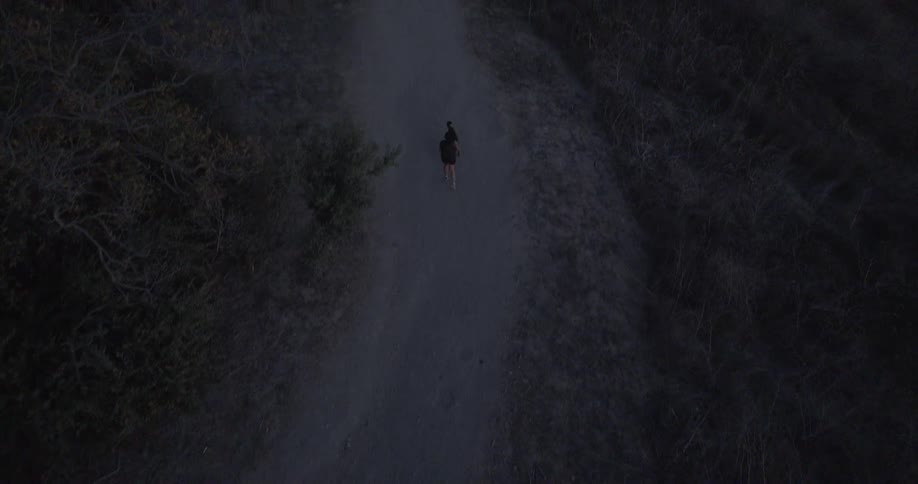 Aerial view of a person running with a dog on a path through the countryside