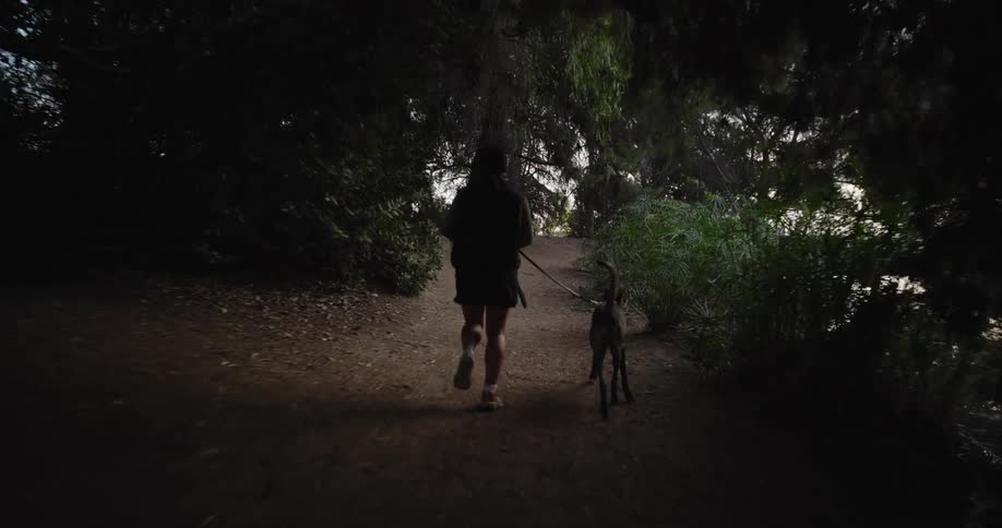 Woman starting to run on a trail during the day with her dog
