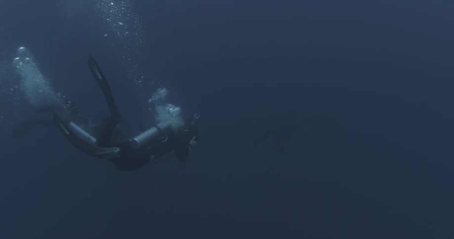 Divers swim in the blue ocean water