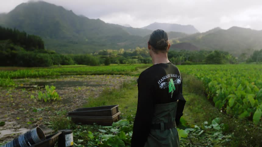 A man standing near a garden looking out in the distance at some hills and mountains