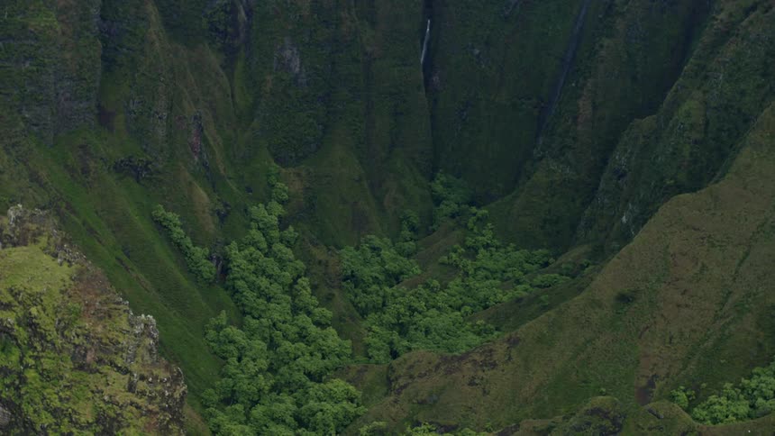 The mountain is covered in green