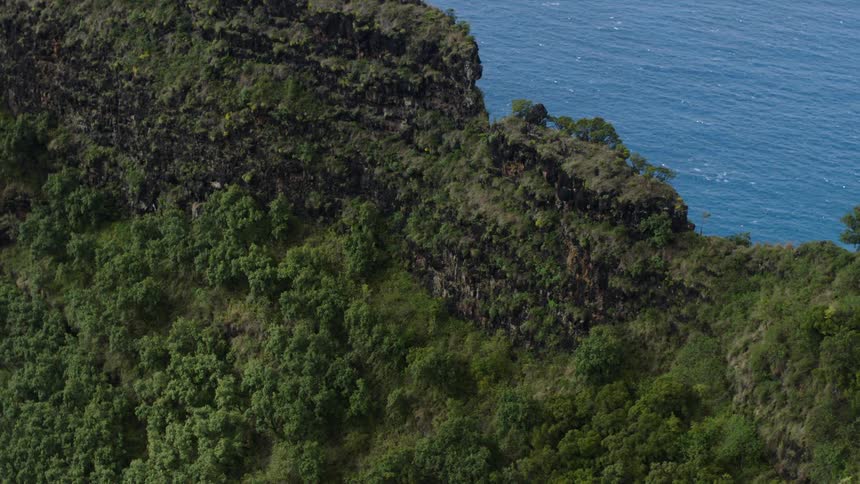 Aerial panorama of a greenish mountainous cliff by the sea