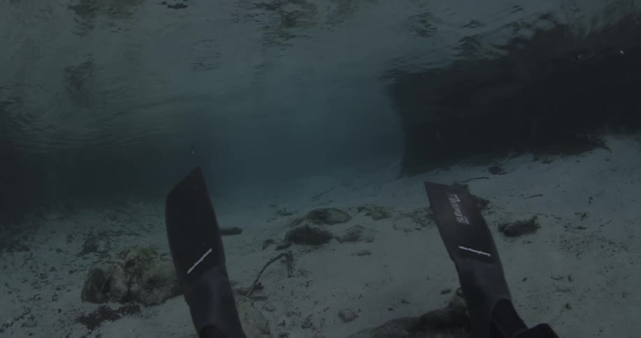 The flippers of a scuba diver are waving back in forth in the water