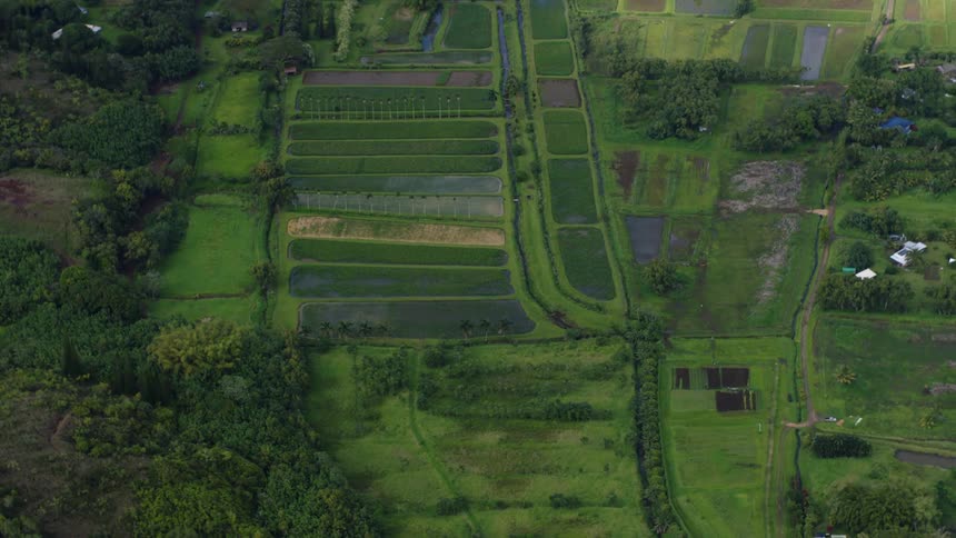 An aerial view shows a patchwork of rectangular farm fields in varying shades of green with scattered structures and roads