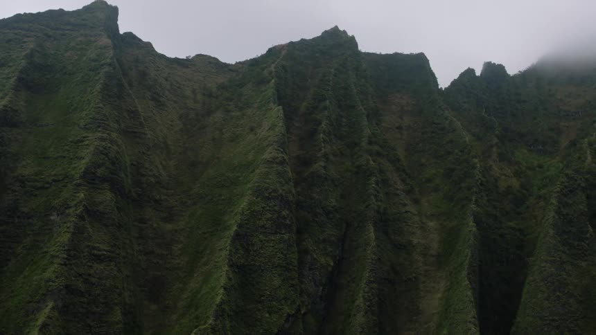 Jagged peaks of a dark green mountain range pierce a uniformly gray overcast sky