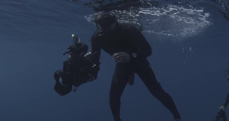 Two scuba divers with cameras are floating in the ocean