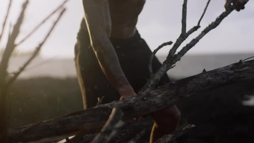 A man lifts a large branch from a tree that has been cut down