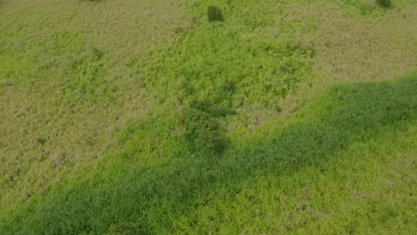 Aerial view of a hill with green pasture