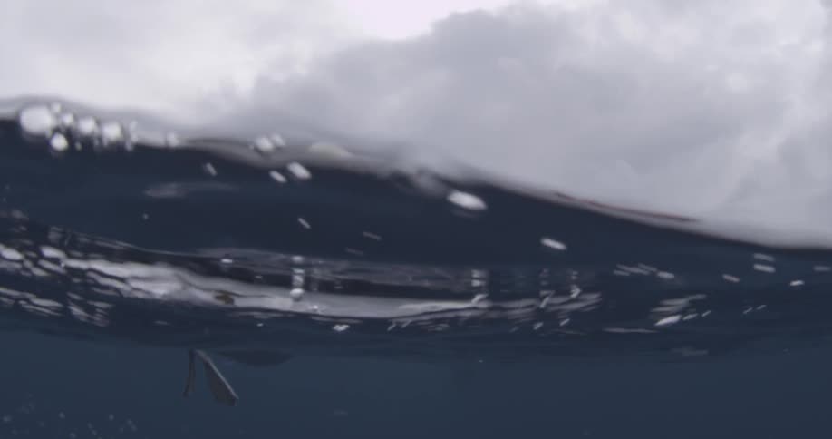 Camera is filming a seagull and a boat on the surface of the ocean