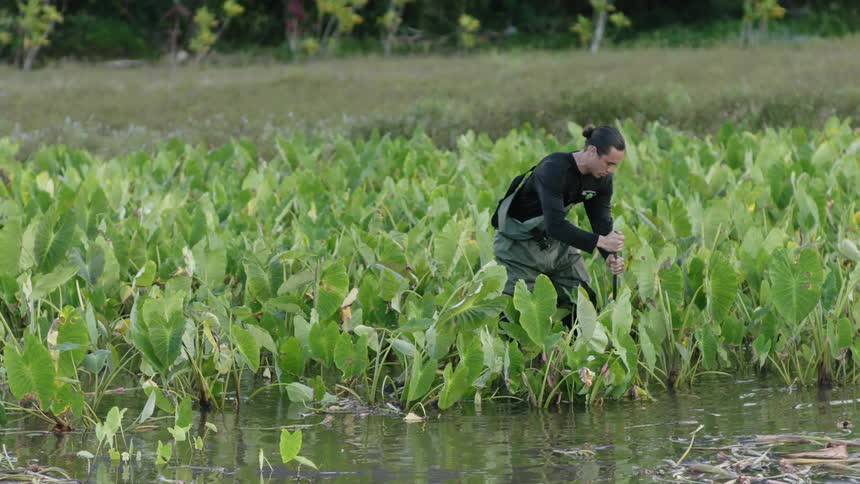 A man is working in wet farm
