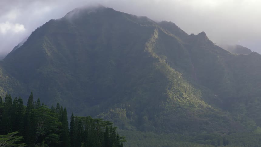 A view of lush green mountains with their peaks partially obscured by clouds and some trees in the foreground