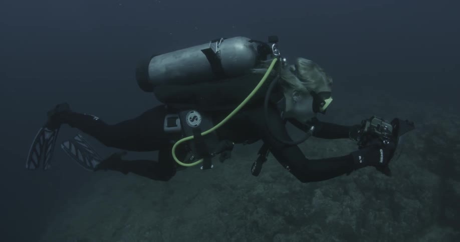 A diver swims with a camera in the ocean