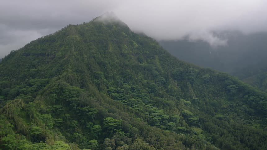 A dense verdant mountain slope covered in lush trees and shrouded in a misty atmosphere rises sharply to a pointed peak that disappears into the fog laden sky