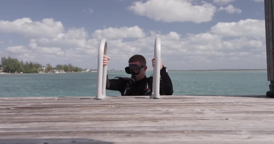 A diver descends into the water
