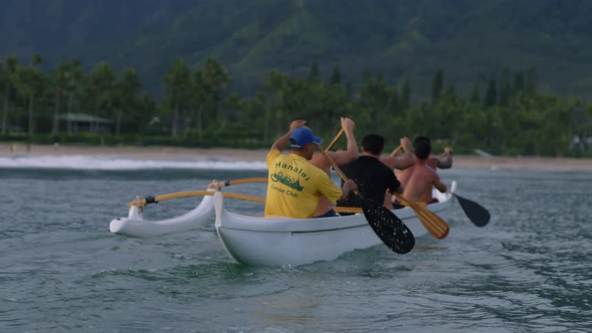Five people are paddling a white outrigger canoe in the ocean near a tropical beach with palm trees and mountains in the background