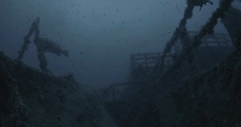 Large fish swimming near sunken ruins