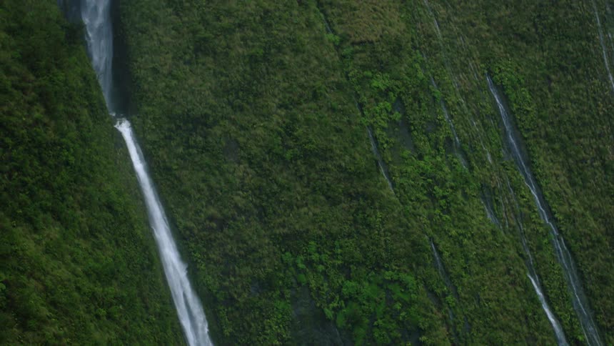The camera is panning left on a very steep cliff with green trees and vegetation growing on it between the many crashing waterfalls