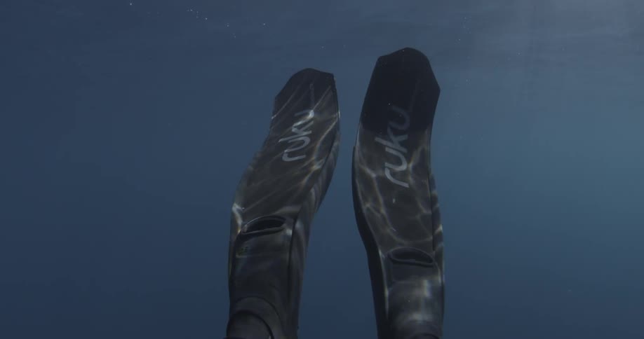 A diver's diving fins are swaying back and forth in the water