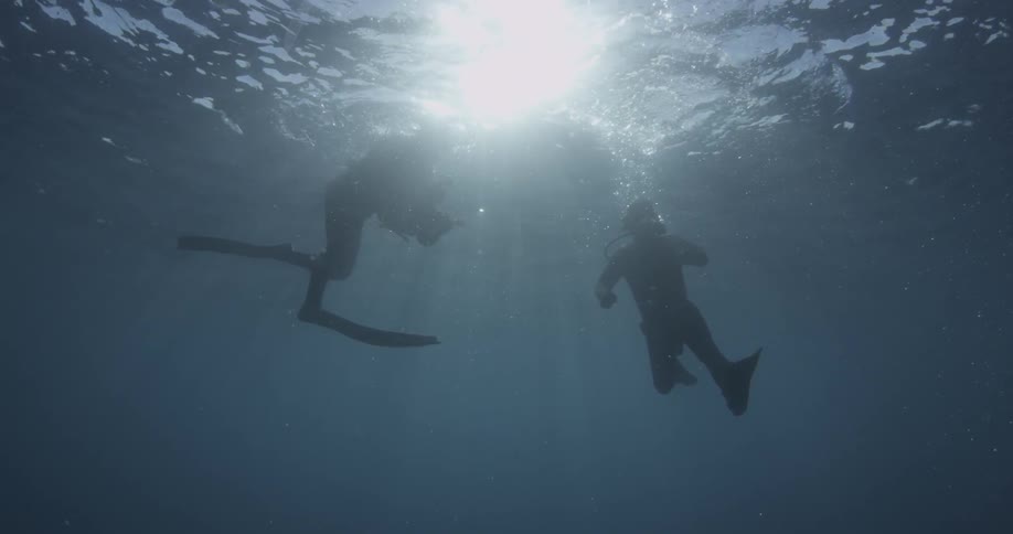 Two divers are near the surface underwater