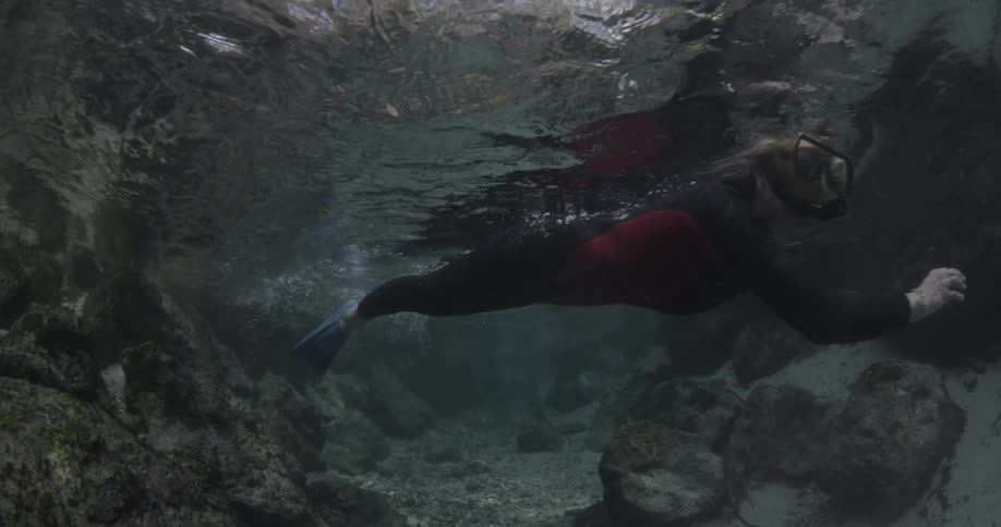 A diver is swimming in shallow water during the day