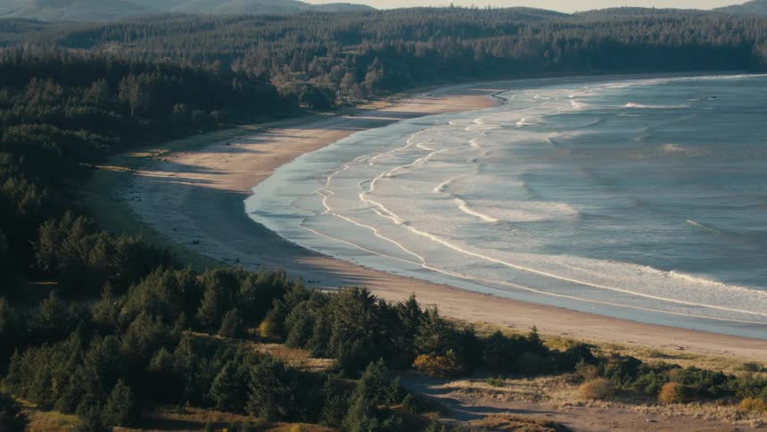 Aerial view of a beach with a heavily wooded area behind it