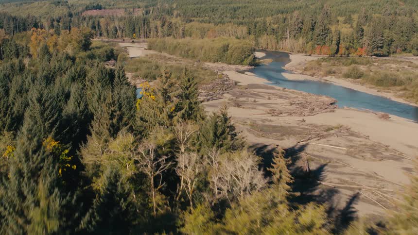 A scenic aerial view of a river winds through a dense forest with lush greenery and sandy riverbanks