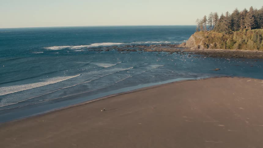 A serene coastal scene featuring a sandy beach with a small inlet bordered by a rocky outcrop topped with dense evergreen trees and the expansive ocean stretching into the horizon