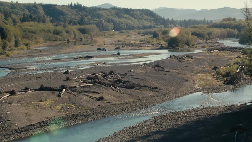 Scene of streams flowing in a vegetated area