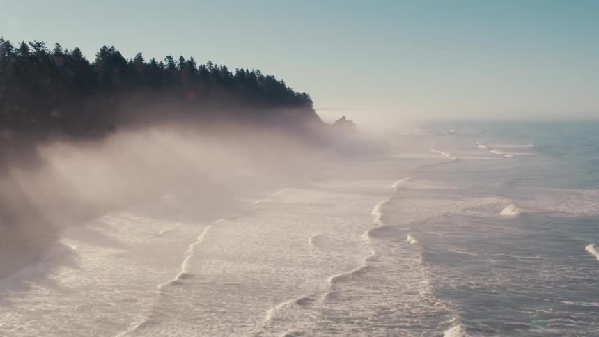 Waves foam when flowing onto a beach bordering a conifer forest on a foggy day