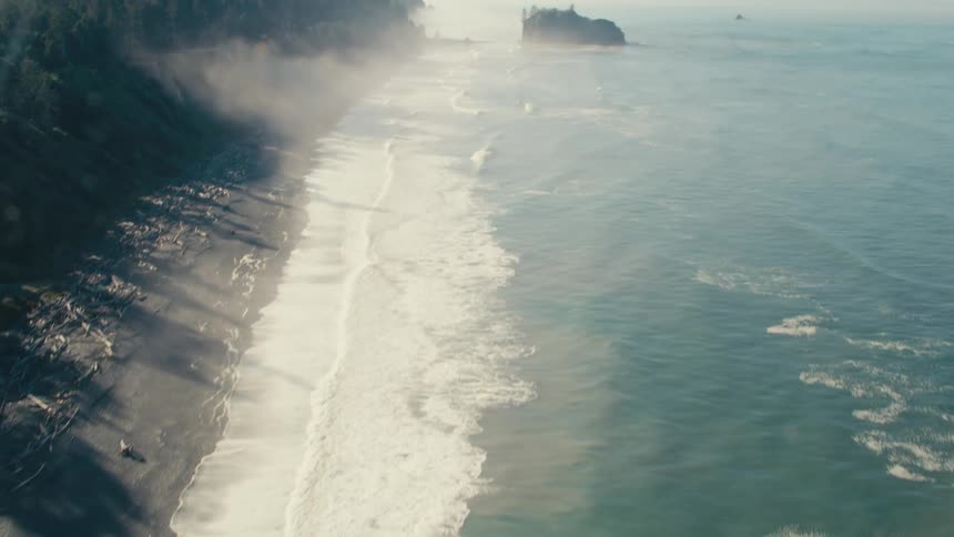 A coastline of black sand beach covered in driftwood and dark green forest waves crashing and mist filling the space between the beach and the forest