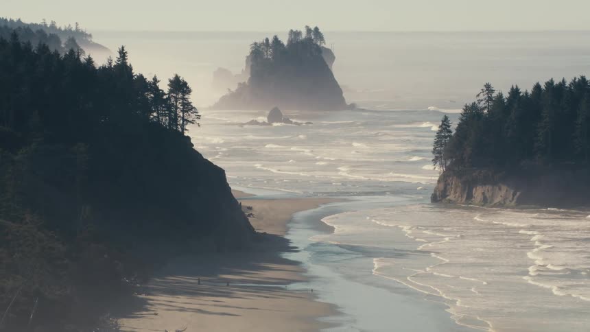 A hazy atmospheric landscape shot depicts a rugged coastline with towering sea stacks shrouded in mist flanked by dense forests on either side with a sliver of sandy beach visible in the foreground