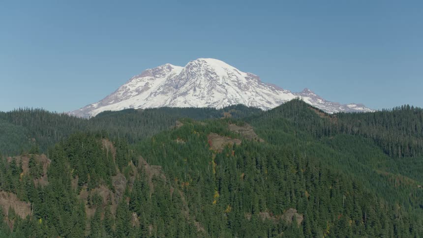 A snowcapped mountain looms over evergreen covered hills beneath a clear blue sky