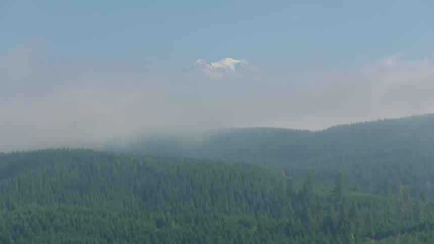 Aerial view of a large area of trees bunched together covering a mountain range