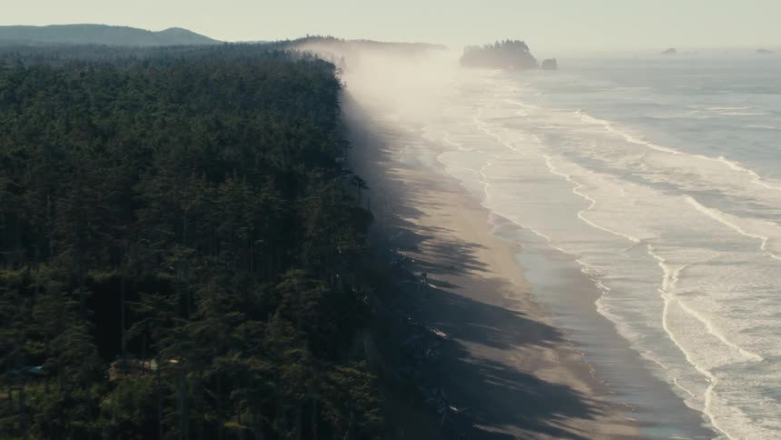 Waves crash onto the shore on a beach with a forest of pine trees behind it