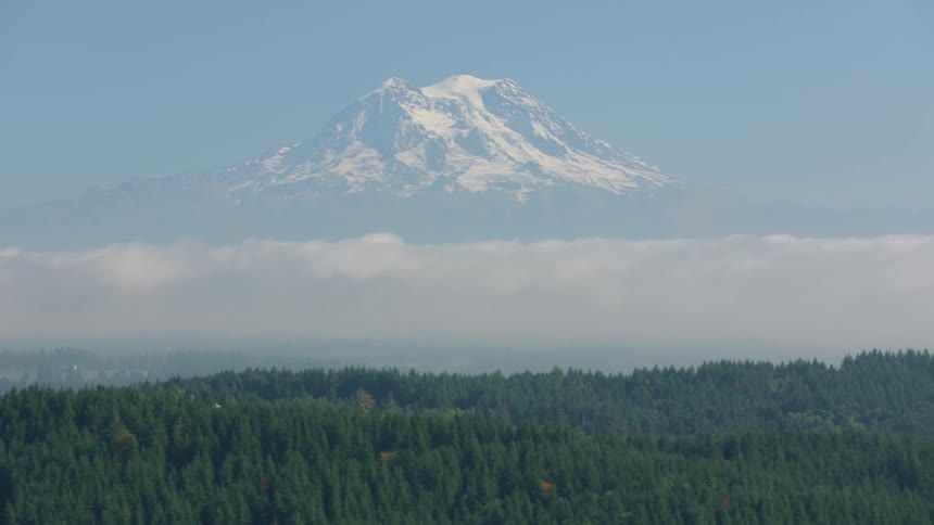 Aerial of an evergreen forest at the base of mount rainier on a sunny day