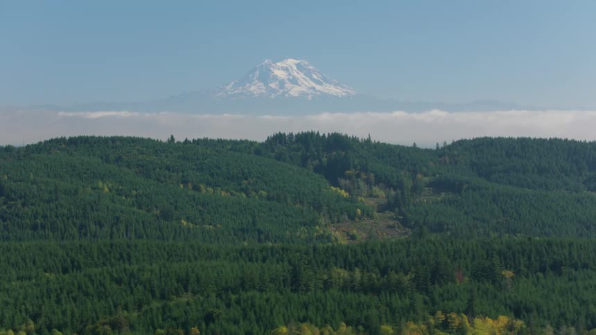 Landscape of a green forest in the foreground and a snowy mountain in the background