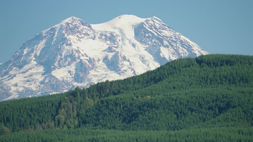 A majestic snowcapped mountain with rugged peaks set against a clear blue sky and a dense forest of evergreen trees in the foreground