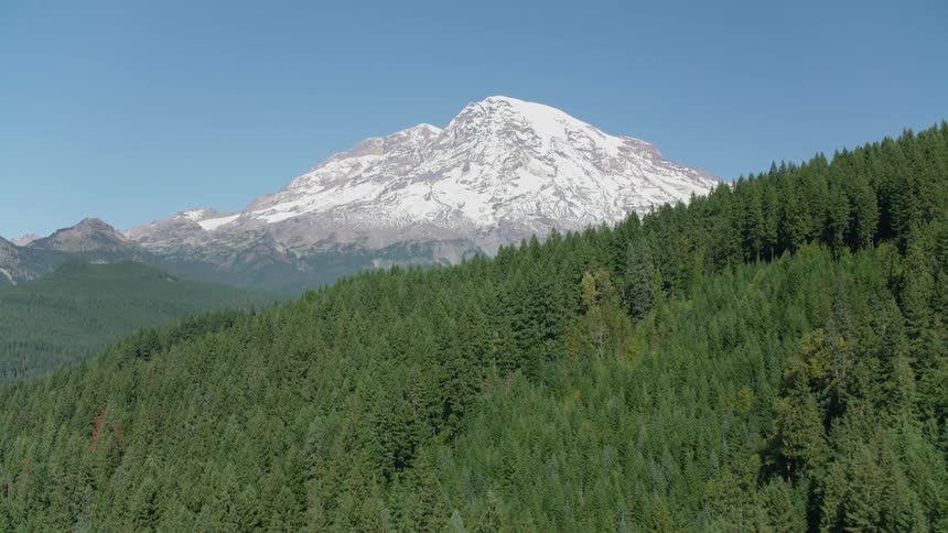 A snow capped mountain peak dominates the horizon rising above a densely forested slope under a clear blue sky