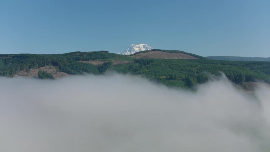 A snow capped mountain peak rises majestically above a lush forested landscape with a layer of fog partially obscuring the foreground
