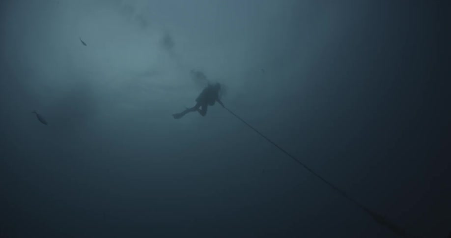 A diver holds onto a rope as he descends in the ocean