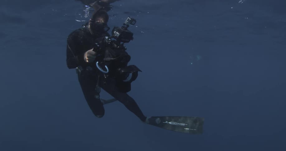 A diver is filming underwater