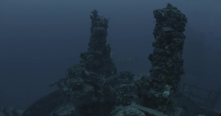 Fish are swimming around an old wreck in the ocean