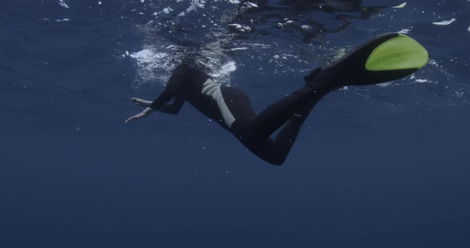 A snorkeler swims near the surface of the ocean
