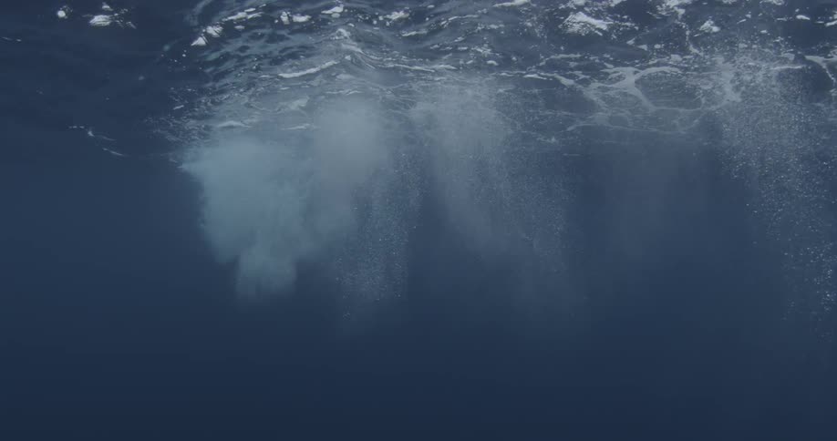 Trails left in the water by something moving across the surface
