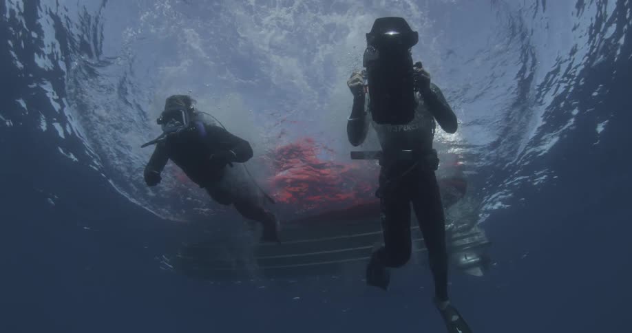 Divers jump off the side of a boat