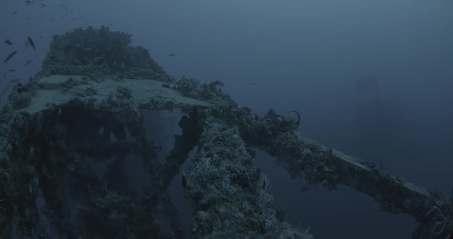 Fish swim near ship wreckage in the ocean