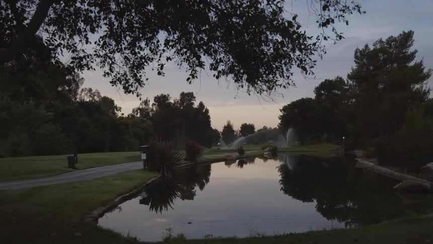 View of a pond with trees around and a path at sunset