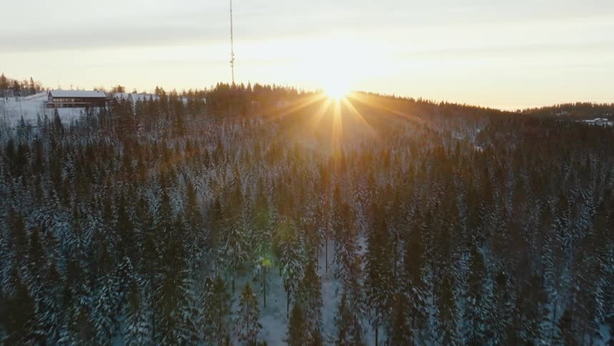 An areal view of a woods land