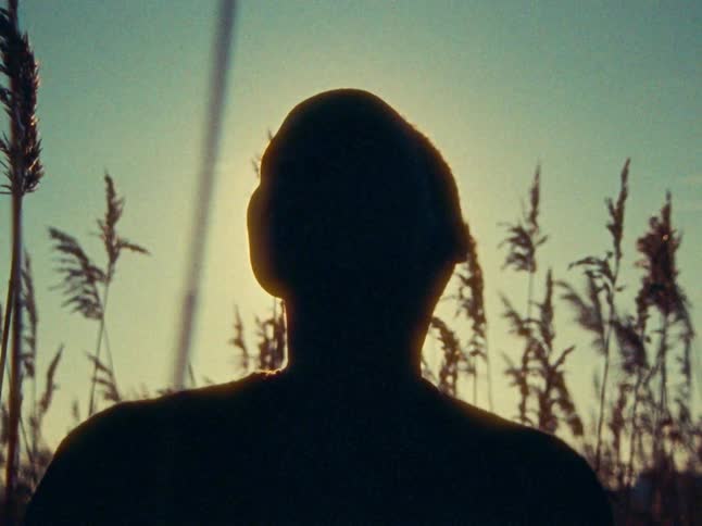 A silhouetted figure stands backlit among tall grasses in nature